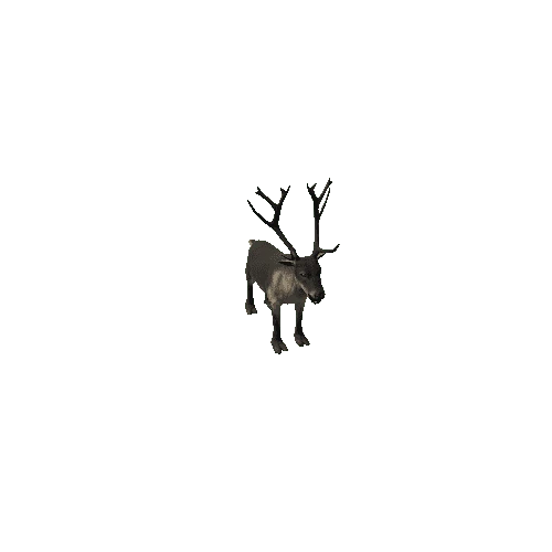 Reindeer_IP_FV_LP (Fur1)